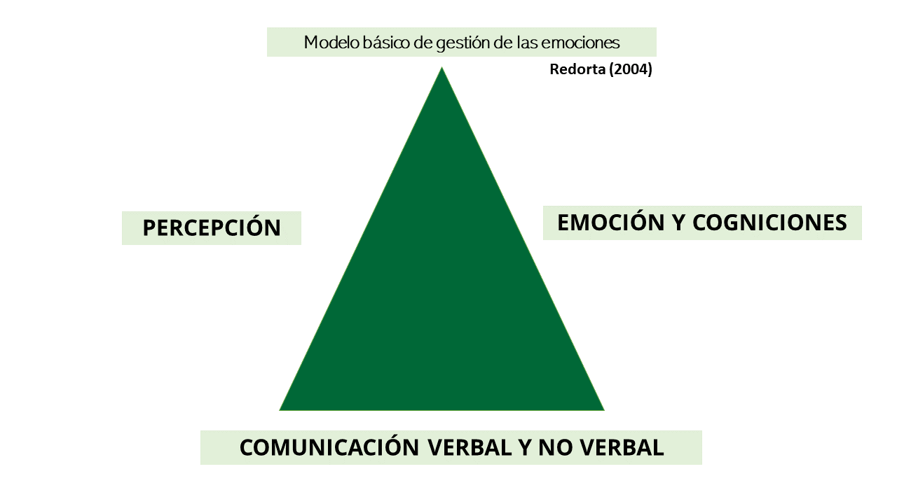 Triangulo de Cohen
